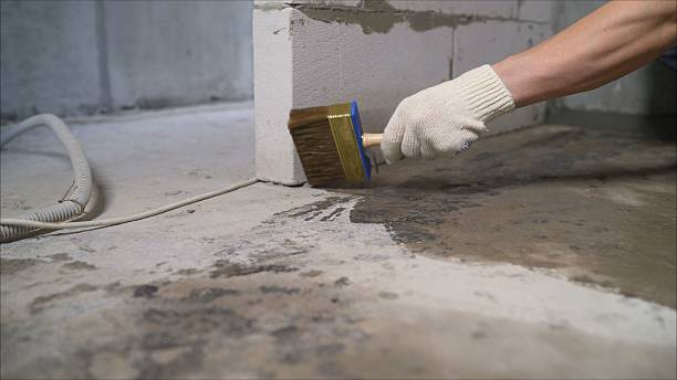 SJ Waterproofing Pros Waterproofing coverage map for Woodland, WI and surrounding area